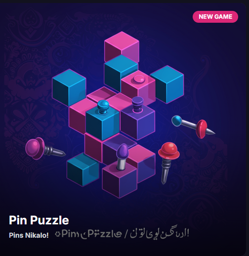 Pin Puzzle