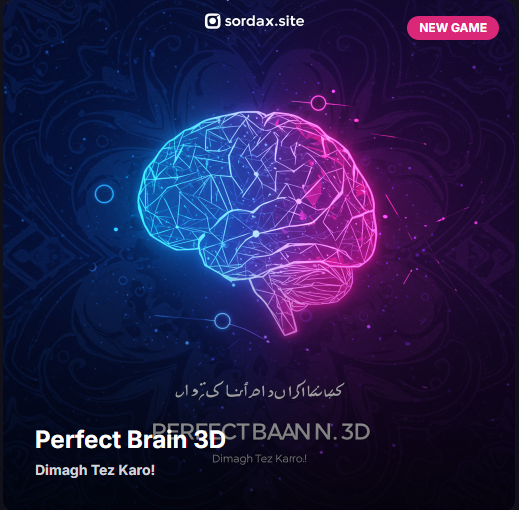 Perfect Brain 3D